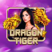 PH JL4 Dragon Tiger live casino