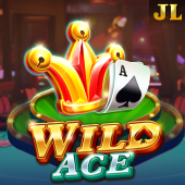 Wild Ace related slot Game